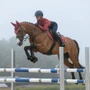 LeMieux Loire Classic Close Contact Saddle Pad in Russet - Lifestyle