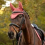 LeMieux Classic Fly Hood in Spiced Earth - Lifestyle