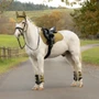 LeMieux Suede General Purpose Saddle Pad in Gooseberry - Lifestyle