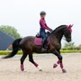 LeMieux Suede Dressage Saddle Pad in Blackberry - Lifestyle