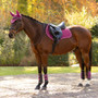 LeMieux Suede Close Contact Saddle Pad in Blackberry - Lifestyle