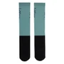 LeMieux Competition Socks in Aloe - Pair