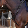 Velociti LUSSO Elite Breastplate in Black