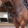 Velociti LUSSO Elite Close Contact Breastplate in Havana