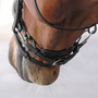 Velociti LUSSO Elite Dressage Flash Bridle