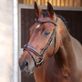 Velociti LUSSO Elite Dressage Flash Bridle in Havana