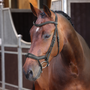 Velociti LUSSO Elite Ergonomic Flash Bridle in Black