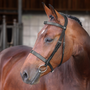 Velociti LUSSO Elite Hunter Bridle in Black