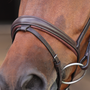 Velociti LUSSO Elite Padded Raised Flash Bridle in Havana