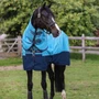 Horseware Amigo Hero Ripstop Plus 600D Turnout Rug 100g