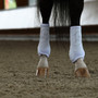 Veredus Absolute Dressage Elastic Boots - Hind - White