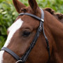 Premier Equine Hunter Plain Bridle Headpiece - Dark Havana - Lifestyle