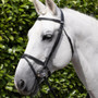 Premier Equine Raised Flash Jumping Bridle - Black - Lifestyle