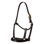 Premier Equine Yearling Headcollar