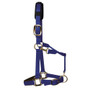 KM Elite Padded Headcollar - Royal Blue