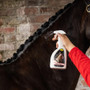 Smart Grooming Perfect Plaits - Lifestyle