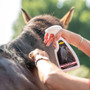 Smart Grooming Tame The Mane - Lifestyle