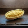Smart Grooming Water Brush