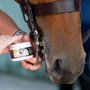 Smart Grooming Lip and Bit Balm - Lifestyle 2
