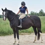 ThinLine Comfort Bareback Saddle Pad With Girth - Lifestyle