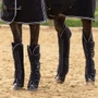Premier Equine Barrasso Travel Boots - Black - Pair