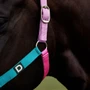 Dublin Everyday Headcollar Blue/Pink/Purple Deatail