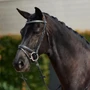 Dublin Padded Comfort Crown Crystal Flash Bridle