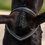 Dublin Padded Comfort Crown Crystal Flash Bridle Over head shot