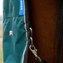 WeatherBeeta ComFiTec Classic 360g Combo Turnout Rug