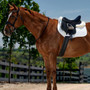 Weatherbeeta Memory Foam Comfort Fleece Edged Half Pad on horse with saddle