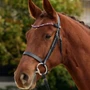 Dublin Ombre Diamante Browband - Pink Black on horse