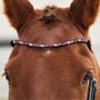 Dublin Ombre Diamante Browband - Pink Black on horse