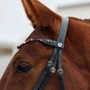Dublin Ombre Diamante Browband - Pink Black on horse