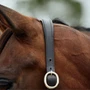Dublin Leather Rope Headcollar