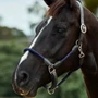 Dublin Leather Rope Headcollar - Navy