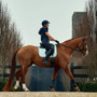 WeatherBeeta Velvet Dressage Saddle Pad in blue lifestyle image