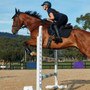 Black WeatherBeeta Softshell Pro Grip Euro Jump Saddle Pad on horse jumping