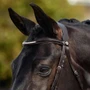 Dublin Padded Mono Crown Patent Flash Bridle - Black