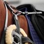 Black Dublin 5-Point Event Breastplate detailing - Black