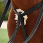 Black Dublin 5-Point Event Breastplate detailing - Black