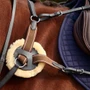 Brown Dublin 5-Point Event Breastplate detailing - Brown