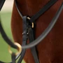 Detailing on the Dublin 3-Point Breastplate - Black