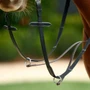 Dublin Running Martingale - Black