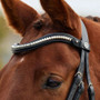 Dublin Clincher Wave Browband - Black