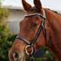 Dublin Pearl Browband - Brown