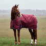 WeatherBeeta Comfitec Prelim Standard Turnout Rug 0g In Burgundy