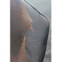 Woof Wear UV Fly Mask With Ears-Black Turquoise