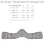 LeMieux Gel-Tek Anatomic Dressage Girth- Size Guide
