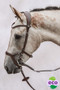 PS of Sweden Nirak Leather Bridle