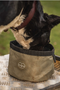 Le Chameau Portable Dog Bowl - Lifestyle